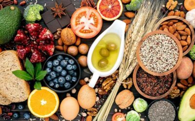 Nutrition équilibrée : quels sont les principes essentiels à connaître ?